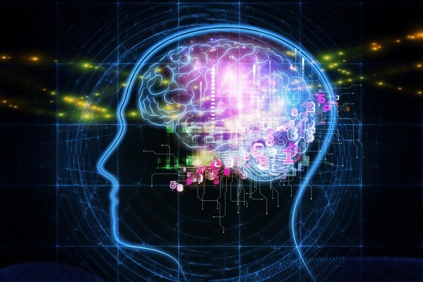 脳科学や心理学をベースとした、様々な療法が詰まったカリキュラム